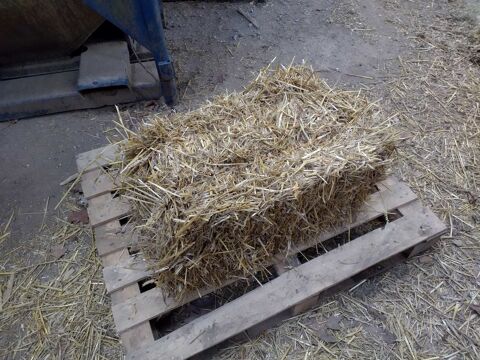 paille 2 Hermeville (76)