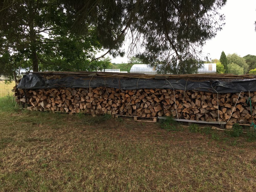 Bois de chauffage coup&eacute; Jardin