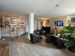  H�tel Particulier � vendre 15 + pi�ces 500 m�