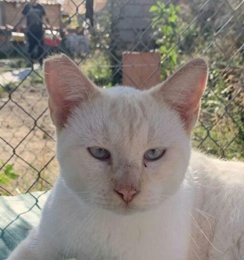 ROMEO 230 27620 Gasny