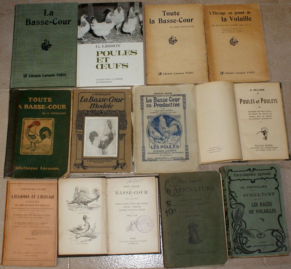 12 livres poules aviculture basse-cour Livres et BD