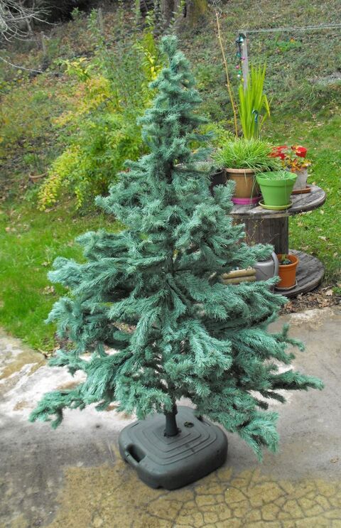 Sapin artificiel 180 cm Bon tat  15 Oloron-Sainte-Marie (64)