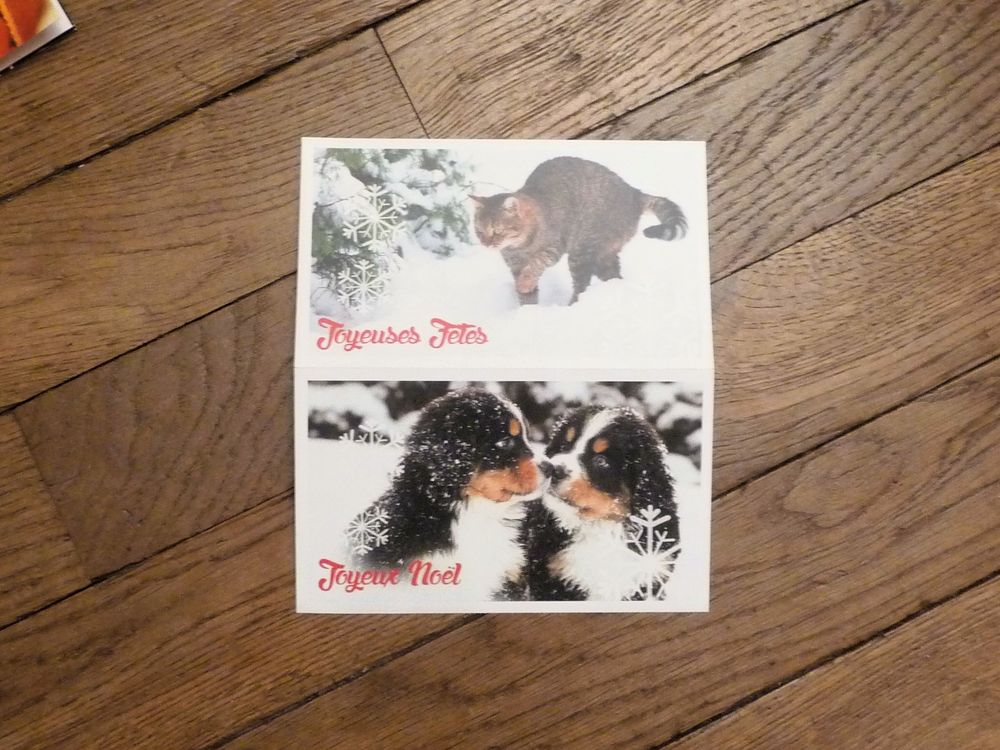 9 Cartes Postales de Voeux- Neuf D�coration