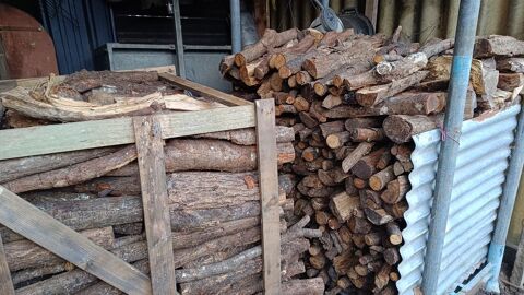 Bois de chauffage 75 Mordelles (35)