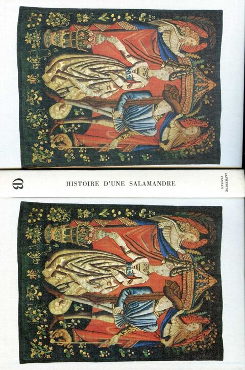 Histoire d'une salamandre - Catherine Paysan, 4 Rennes (35)