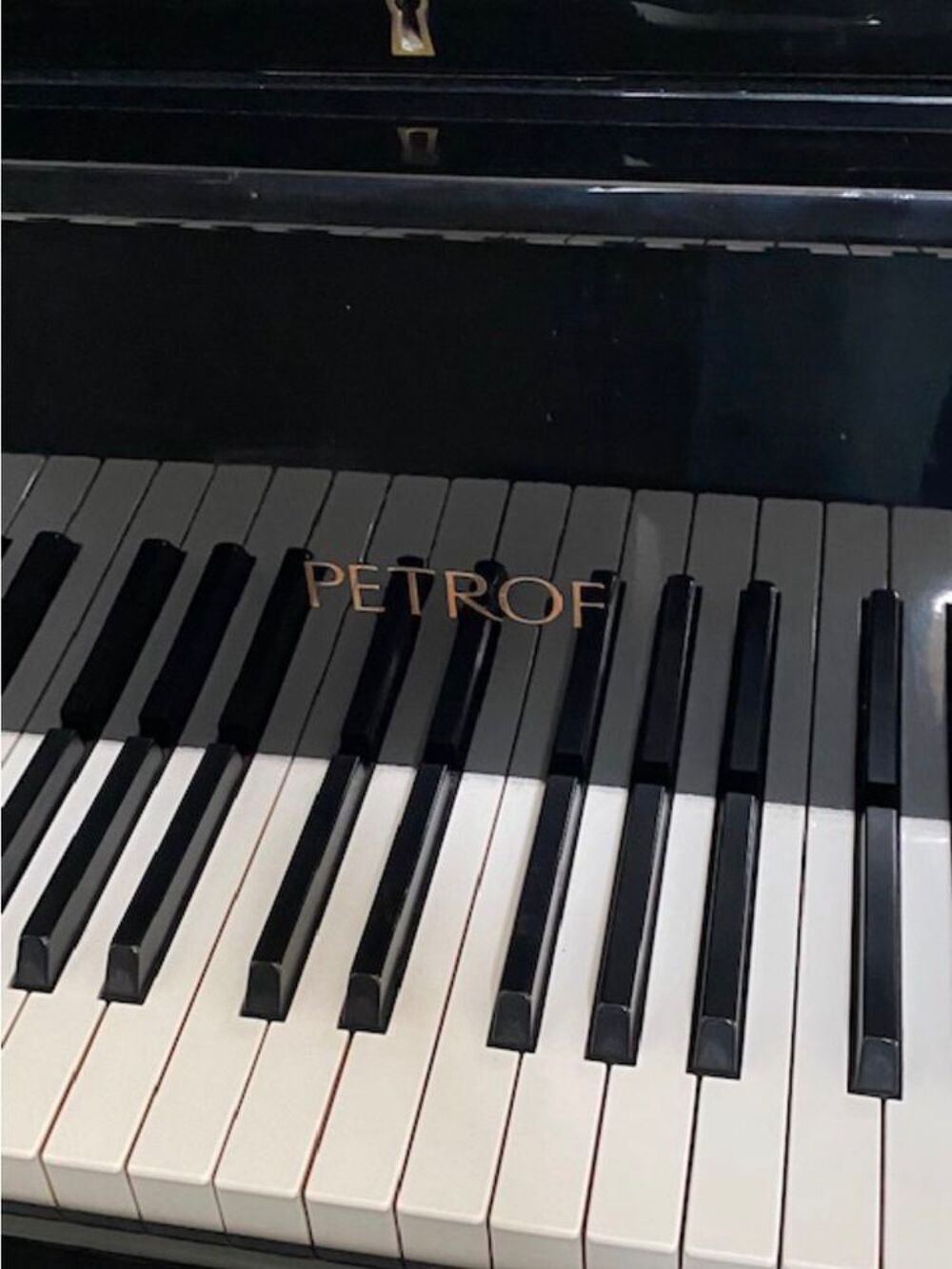 Piano &agrave; queue PETROF P194 Instruments de musique
