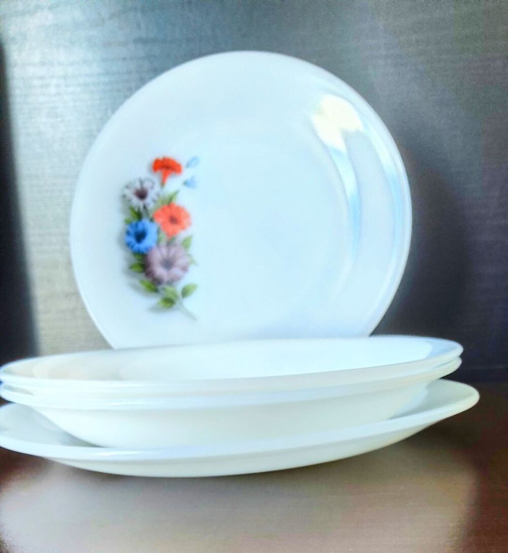Lot 4 assiettes Arcopal Volubilis ? 2 plates + 2 creuses Cuisine