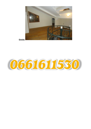  Villa � vendre 15 + pi�ces 280 m� Blida, alg�rie