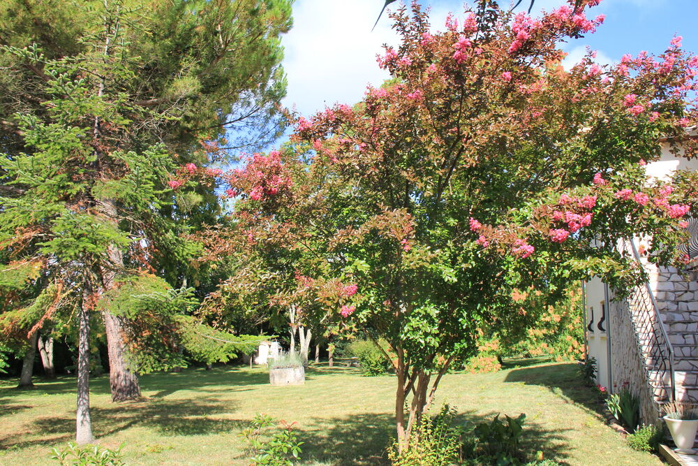 Vente Maison MAISON 136 M² habitable sur 4700 M² arborés Saint-fort-sur-gironde