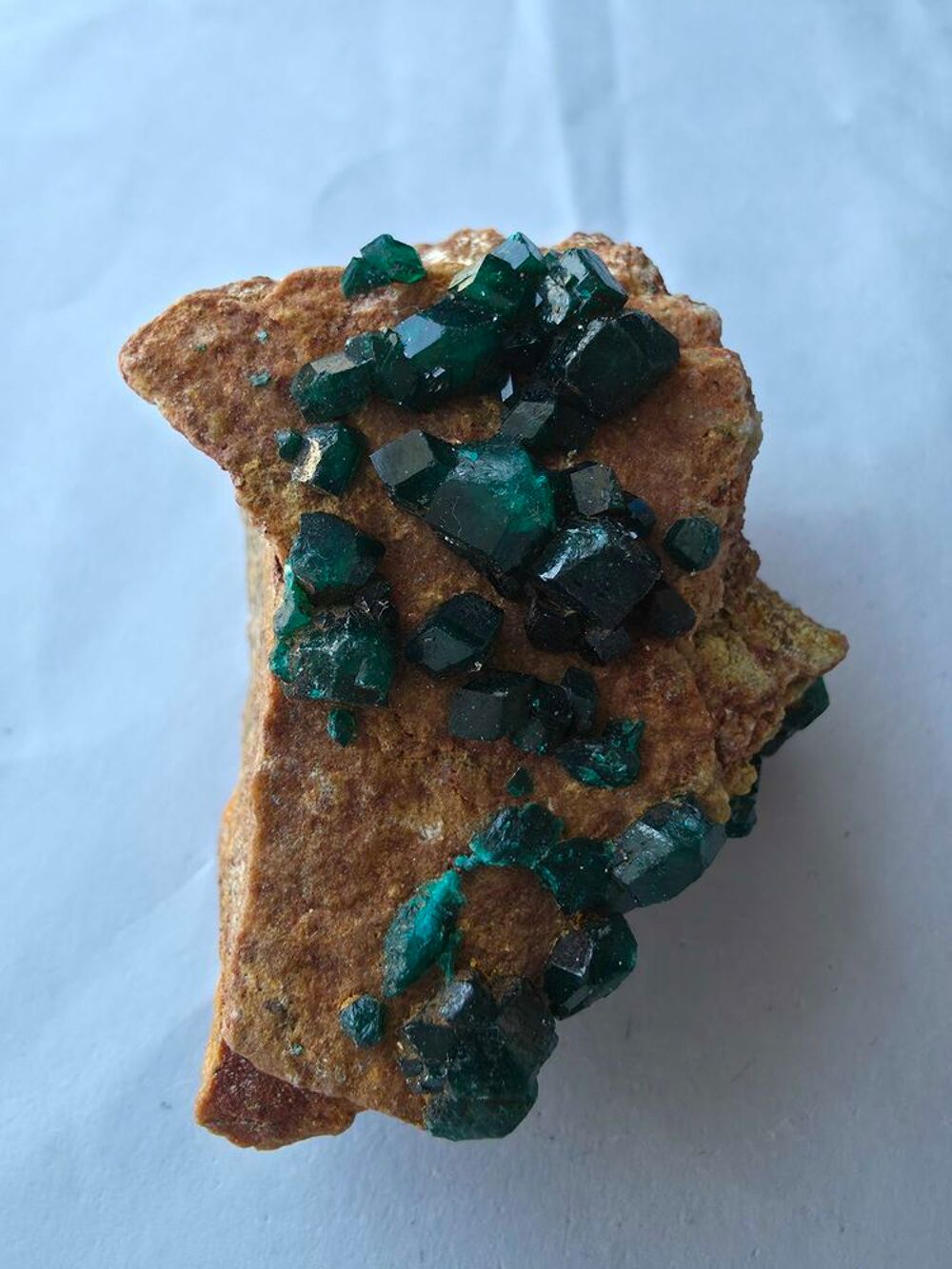Magnifique Dioptase Brute sur Matrice-Katanga, RDC 