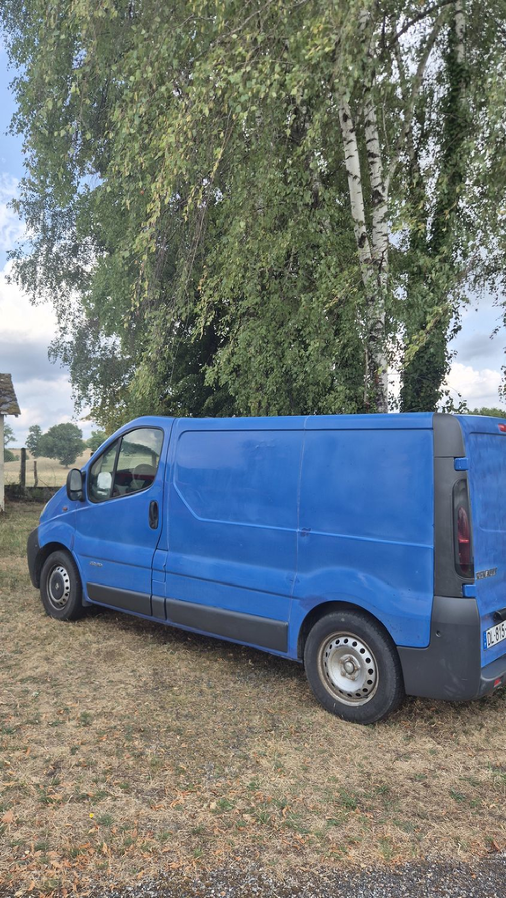 Trafic TRAFIC FGN L1H1 1200 KG 1.9 dCi 80 2001 occasion 87380 Magnac-Bourg