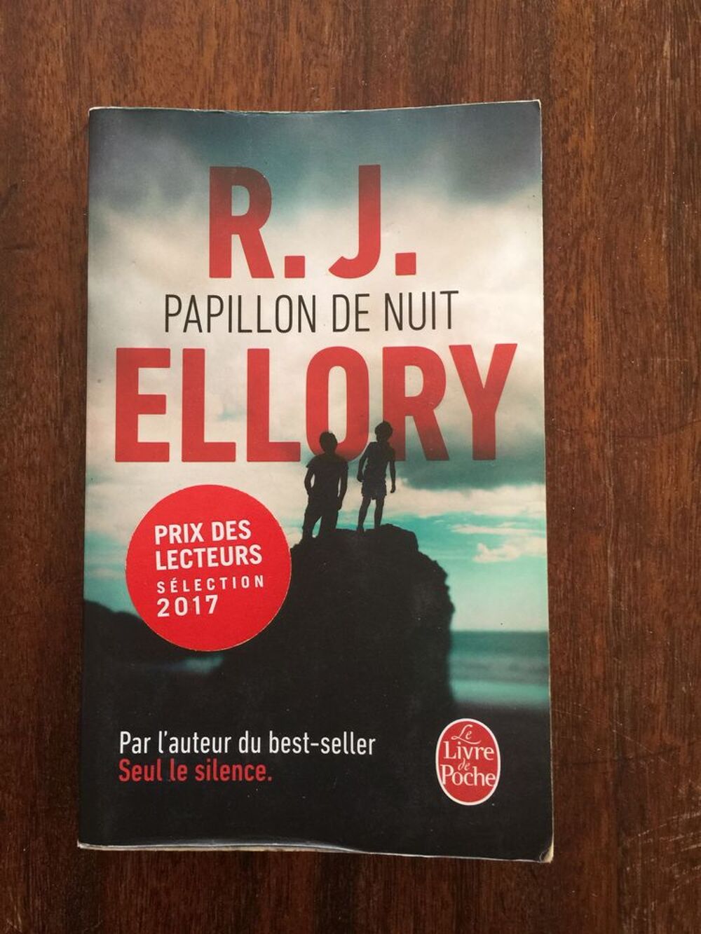 Livre " Papillon de nuit " R.J Ellory Livres et BD