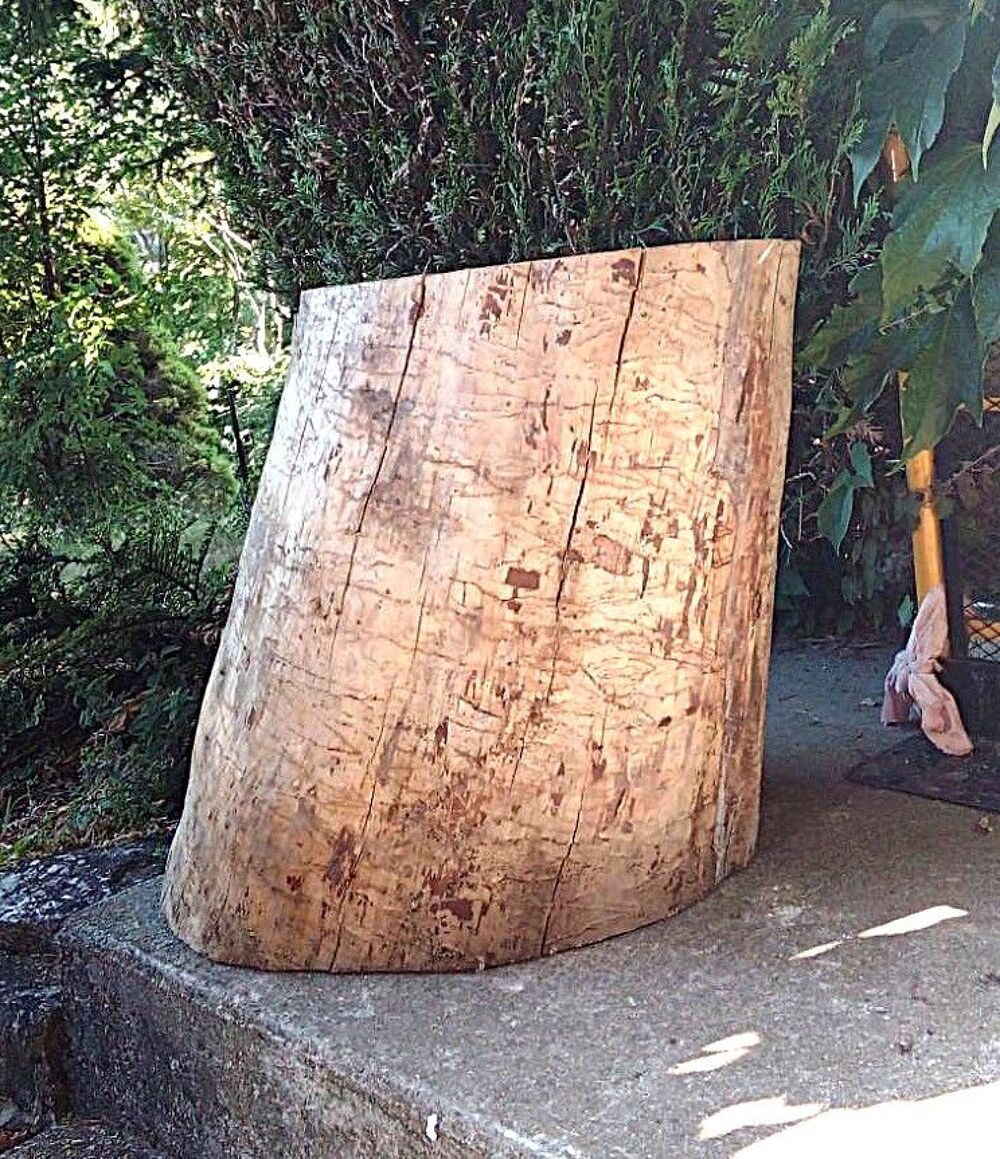 Gros rondin pour couper du bois ou support d'enclume Bricolage