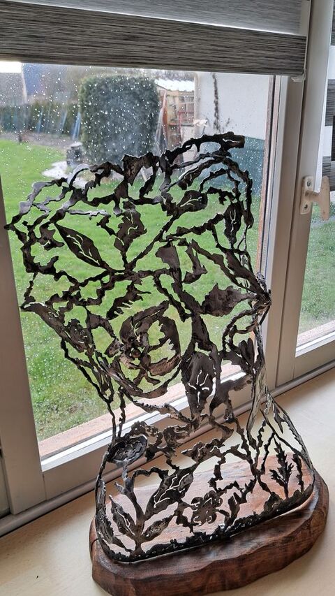 buste femme 200 Avion (62)