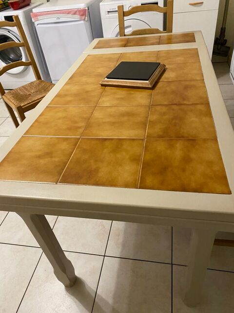 Table de cuisine 20 Biganos (33)