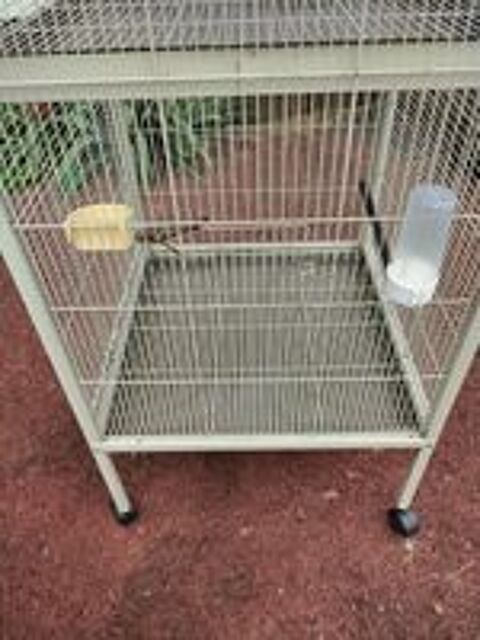   Grande cage oiseaux  