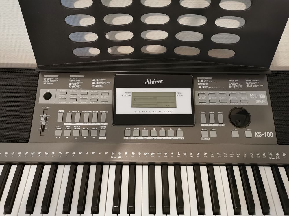 Clavier arrangeur Shiver KS-100 Instruments de musique