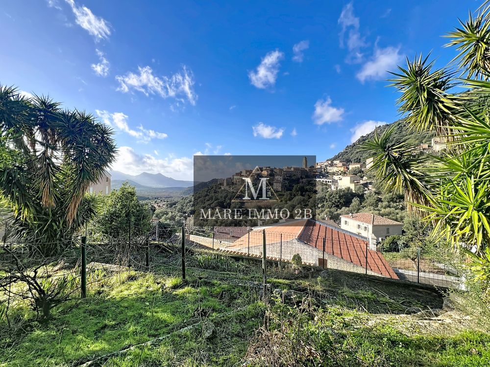 Vente Maison Maison de Maitre Calvi