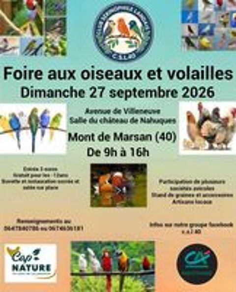   Foire aux oiseaux et volailles  