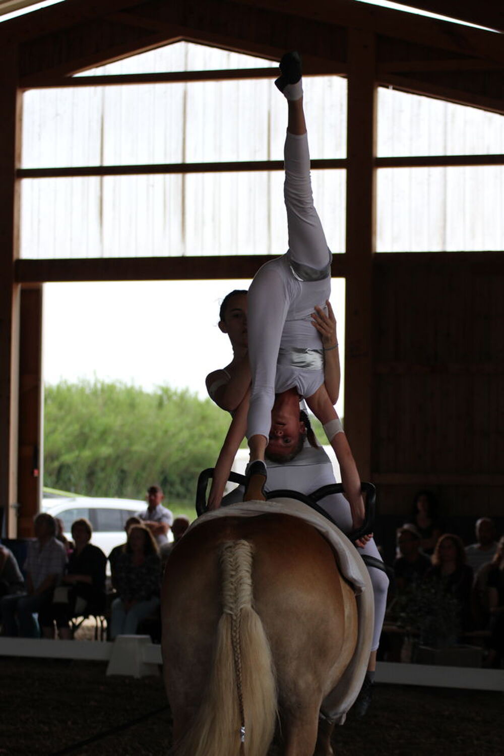   EQUI-GYM
centre equestre a ELNE 