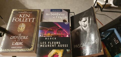 Je suis Audrey Invalide mes livres ? adultes 4e 4 Dax (40)