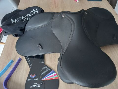 selle norton pro 150 Tartas (40)