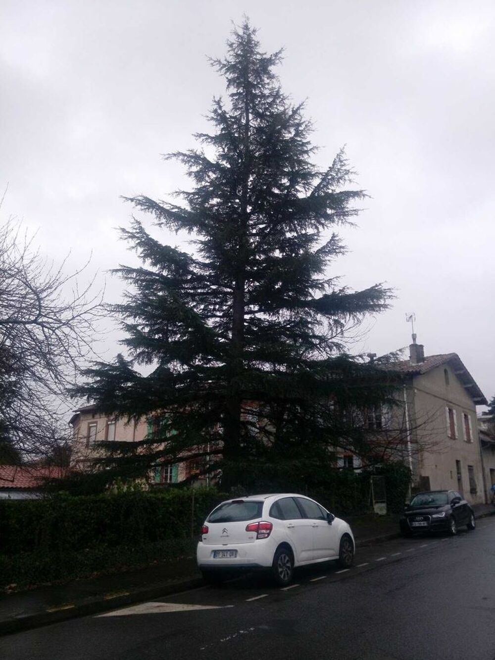 Charpente Jardin