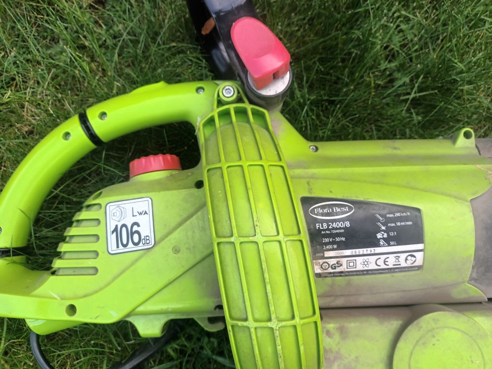 Taille haie thermique Jardin