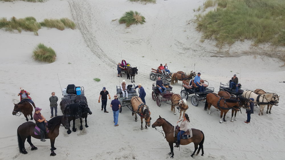   Marquenterre....Vacances en Baie De Somme Picardie, Saint-Quentin-en-Tourmont (80120)