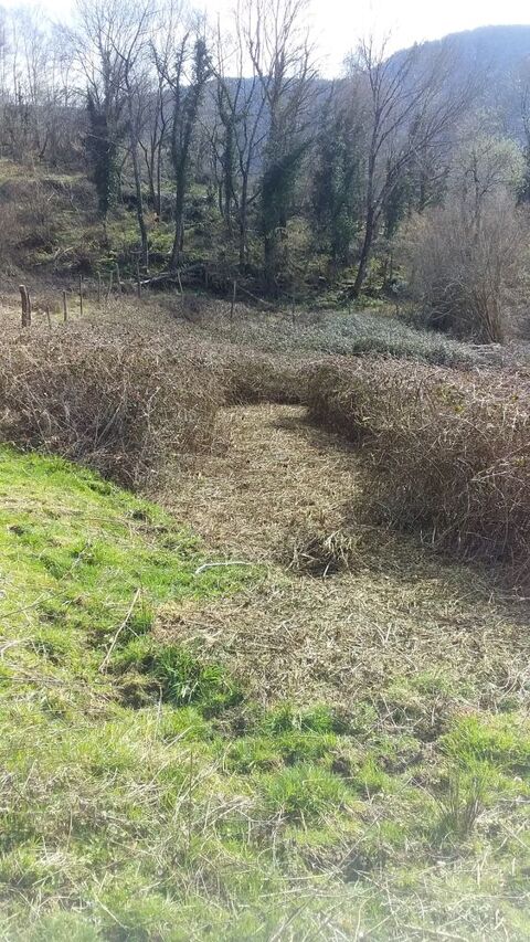 Service de débrousaillage dans le Séronais 0 09240 Montagagne