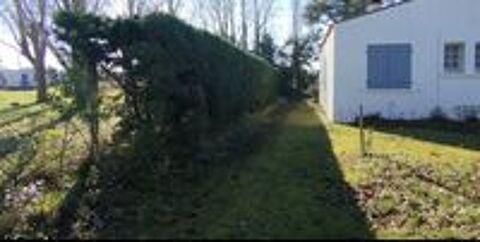   paysage et lagage  