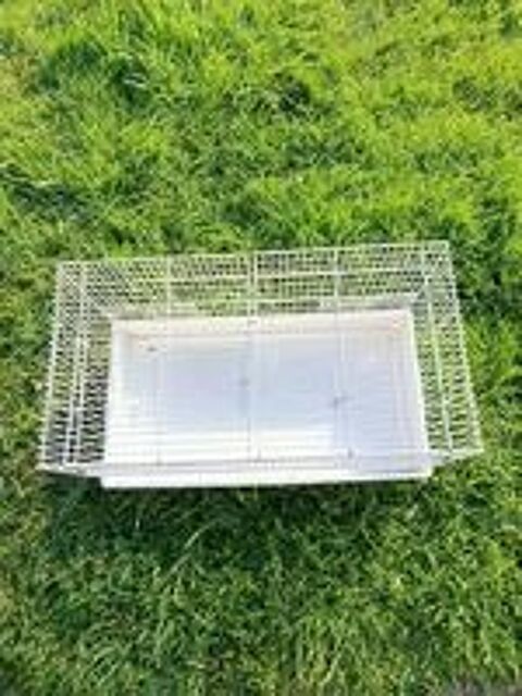   Cage  