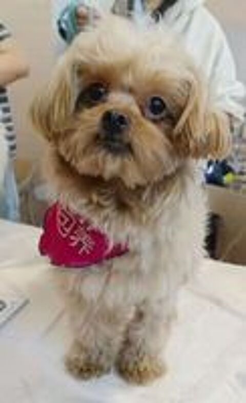   DOUDOU SE TROUVE DANS UN REFUGE EN CHINE 