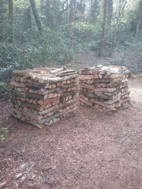 BOIS DE CHAUFFAGE 0 Combrit (29)