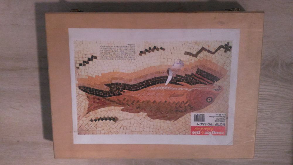 Kit complet mosaique romaine &quot;Rougier et pl&eacute;&quot; motif poisson Dcoration