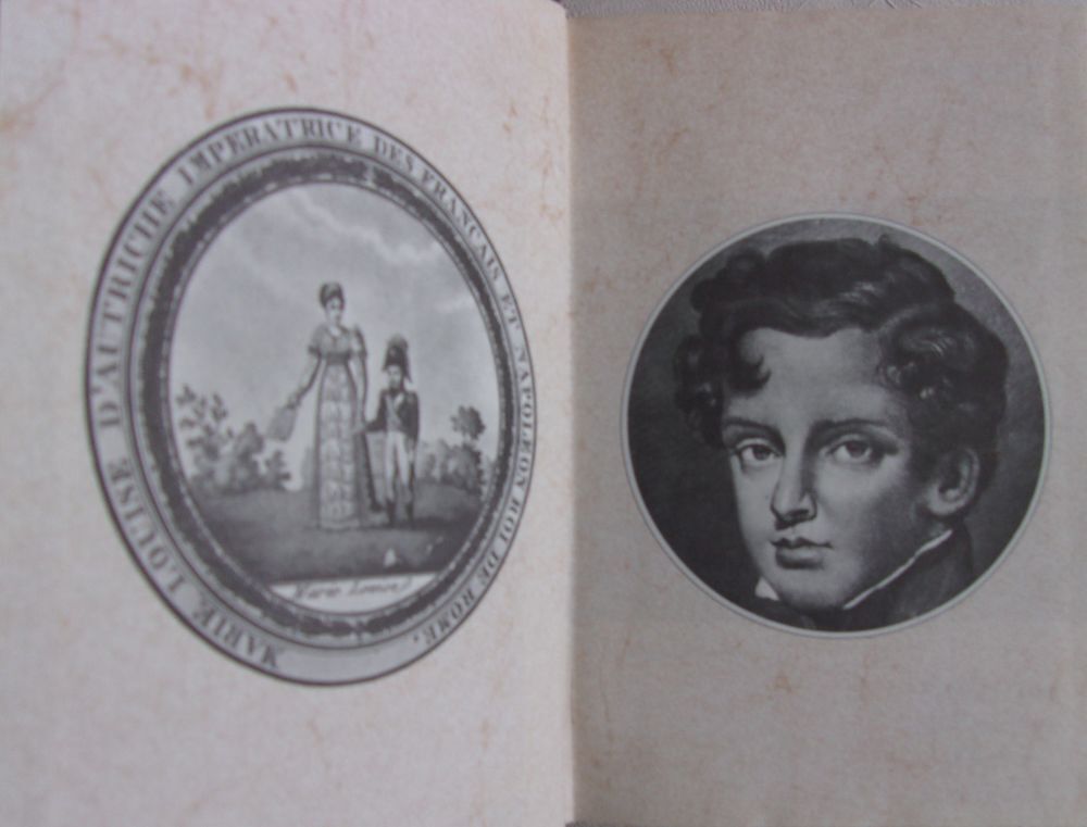 Livres sur Napol&eacute;on Livres et BD