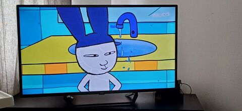 Tlvision POLAROID 106cm en bon tat Montigny-le-Bretonneux (78)