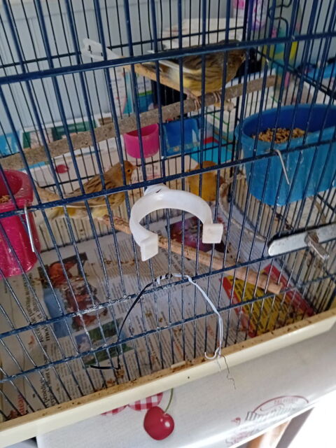 Canaris 25 25000 Besanon