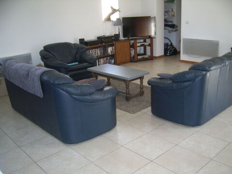 Salon en cuir 
Saint-Florent sur Auzonnet (30960) 400 Saint-Florent-sur-Auzonnet (30)