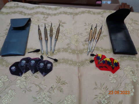 DEUX JEUX DE FLECHETTES DANS LEUR ETUI  50 L'Isle-Jourdain (32)