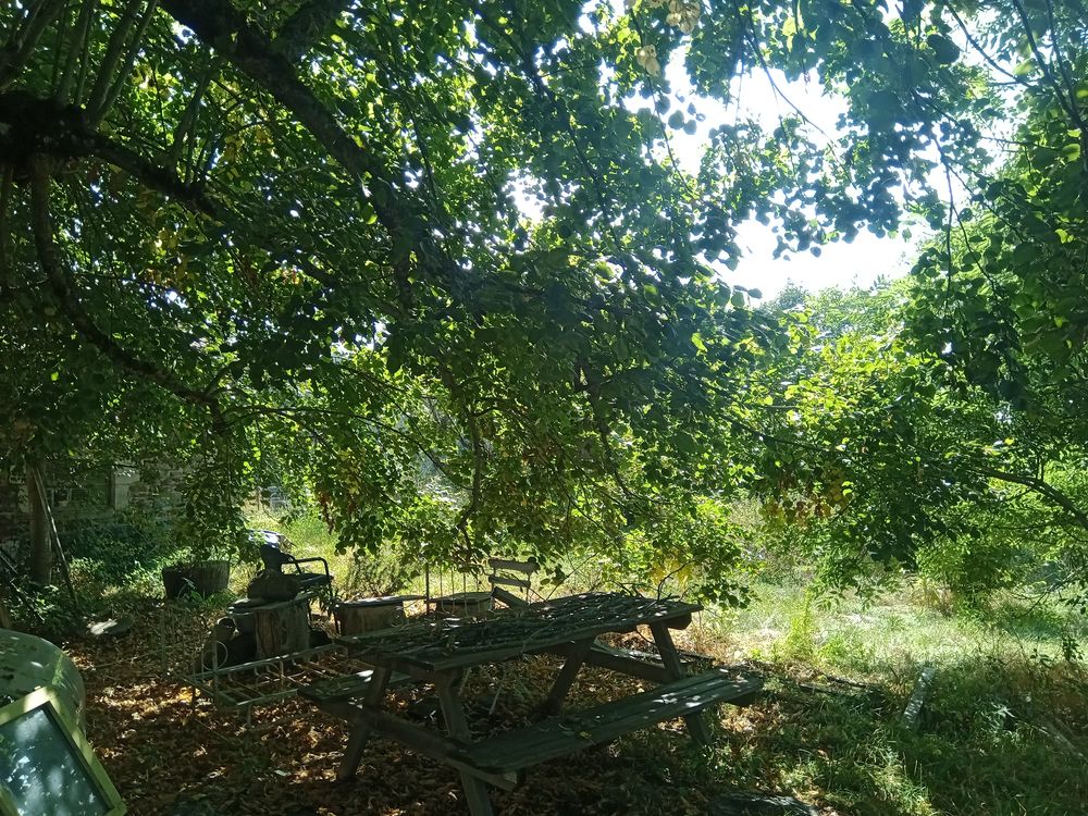 Vente Maison auvergne corps de ferme à restaurer 3 bâtiments Berbezit