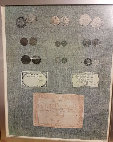 Reprographie  Monnaies rvolutionnaires  15 Toulouse (31)