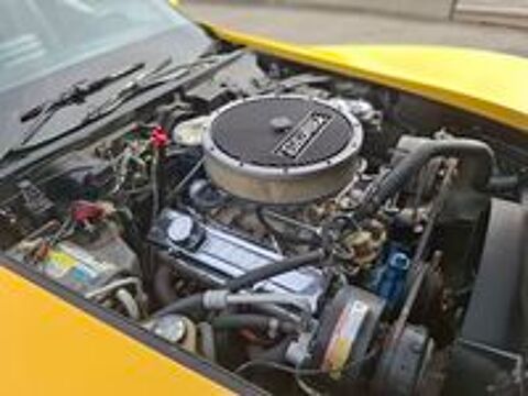 Corvette Coup&eacute; 5.7 V8 A 1981 occasion 76190 &Eacute;cretteville-l&egrave;s-Baons