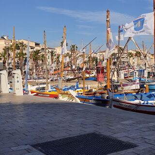 Location  Appartement 