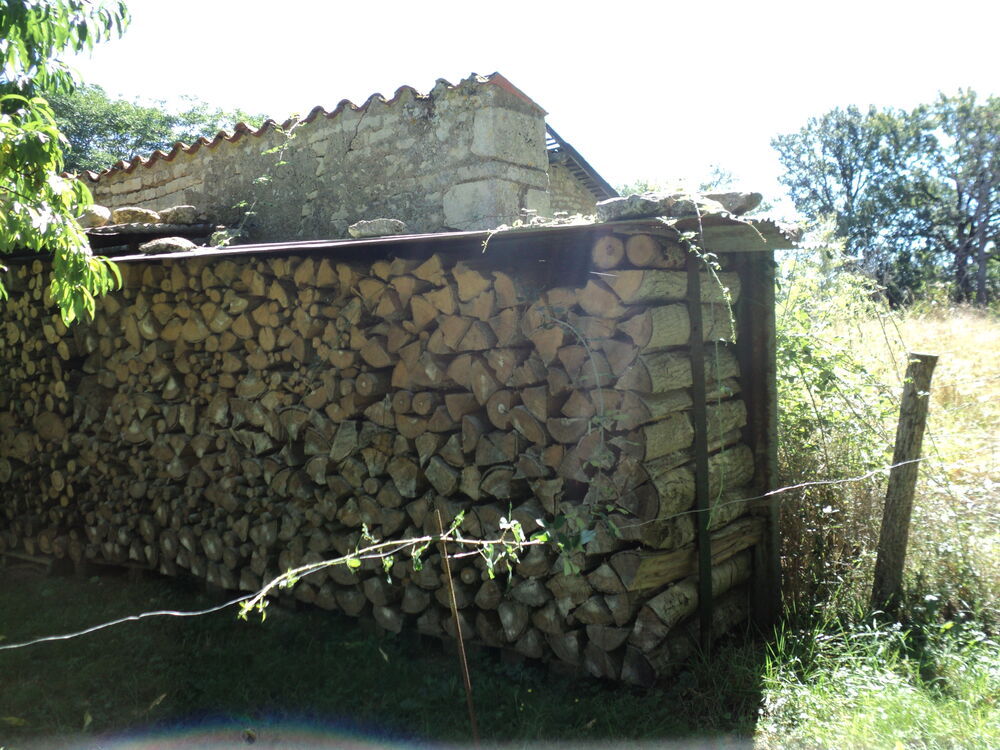 bois de chauffage . Jardin