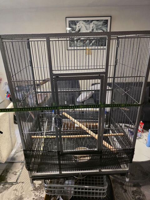 Cage oiseaux Montpellier (34)