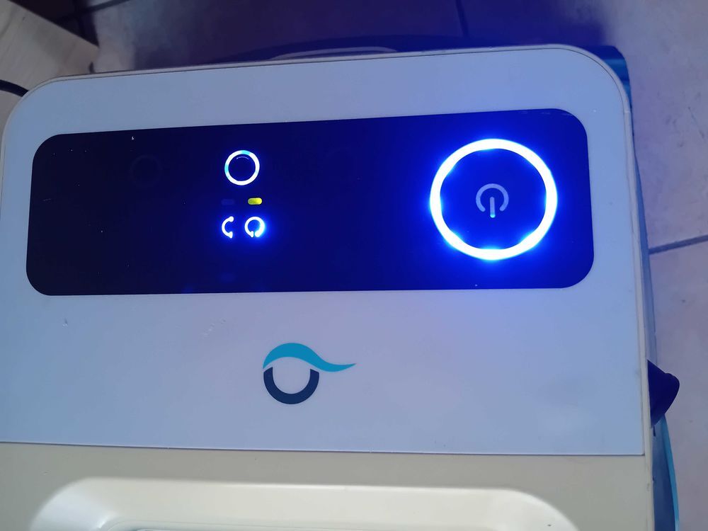 Robot piscine DOLPHIN S300 Jardin