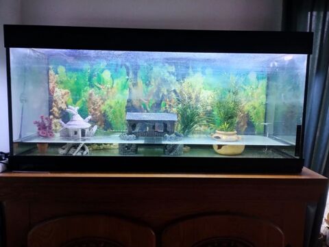 aquarium cuve 200 02700 Frires-failloul