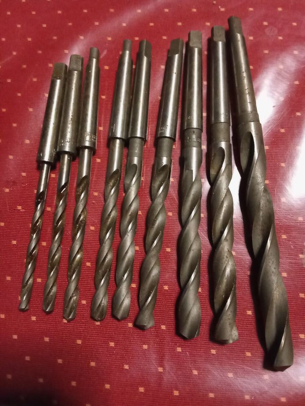 9 For&ecirc;ts coniques Bricolage