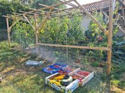   Jardinier expérimenté 